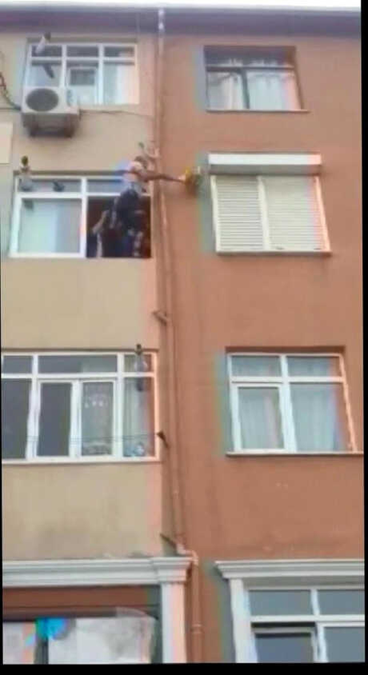 Kediyi Kurtarmak İsteyen Zabıtanın Mücadelesi