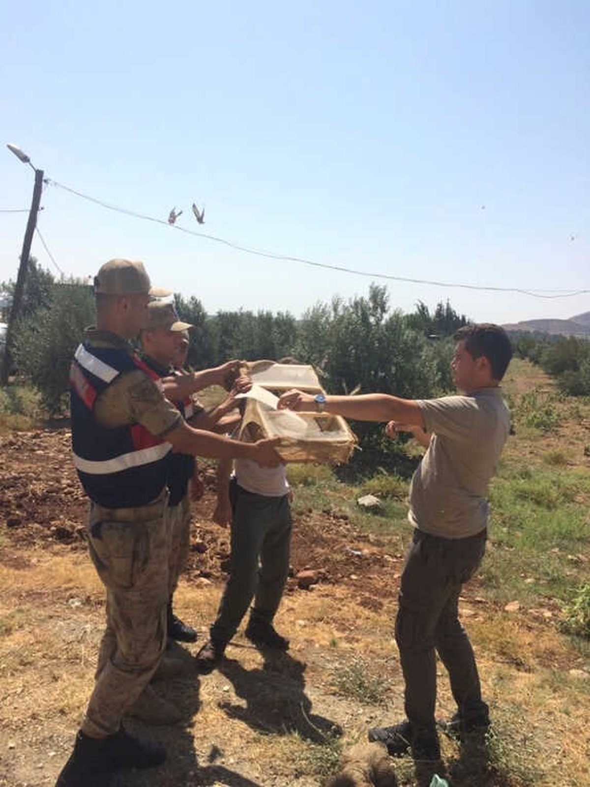 Saka Kuşu Yakalayan Suriyelilere Suçüstü