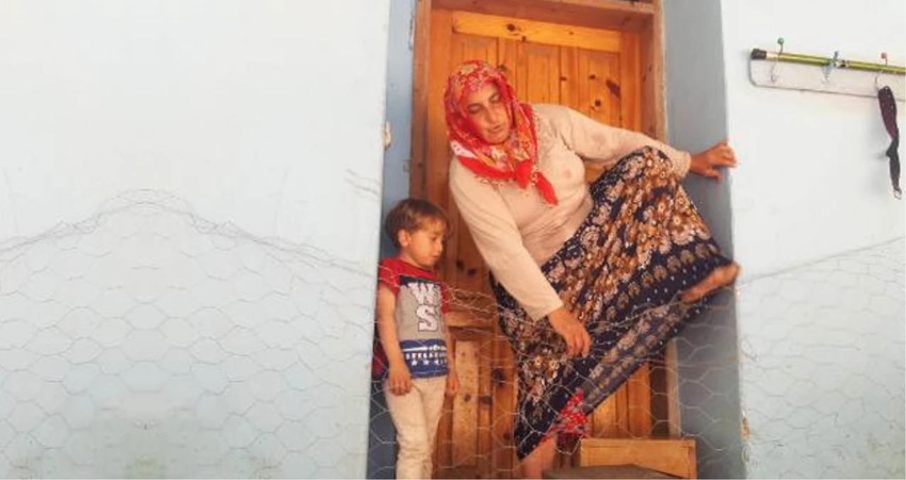 Trabzonlu Baba, Kızdığı Oğlunun Evini Tel Örgüyle Çevirdi
