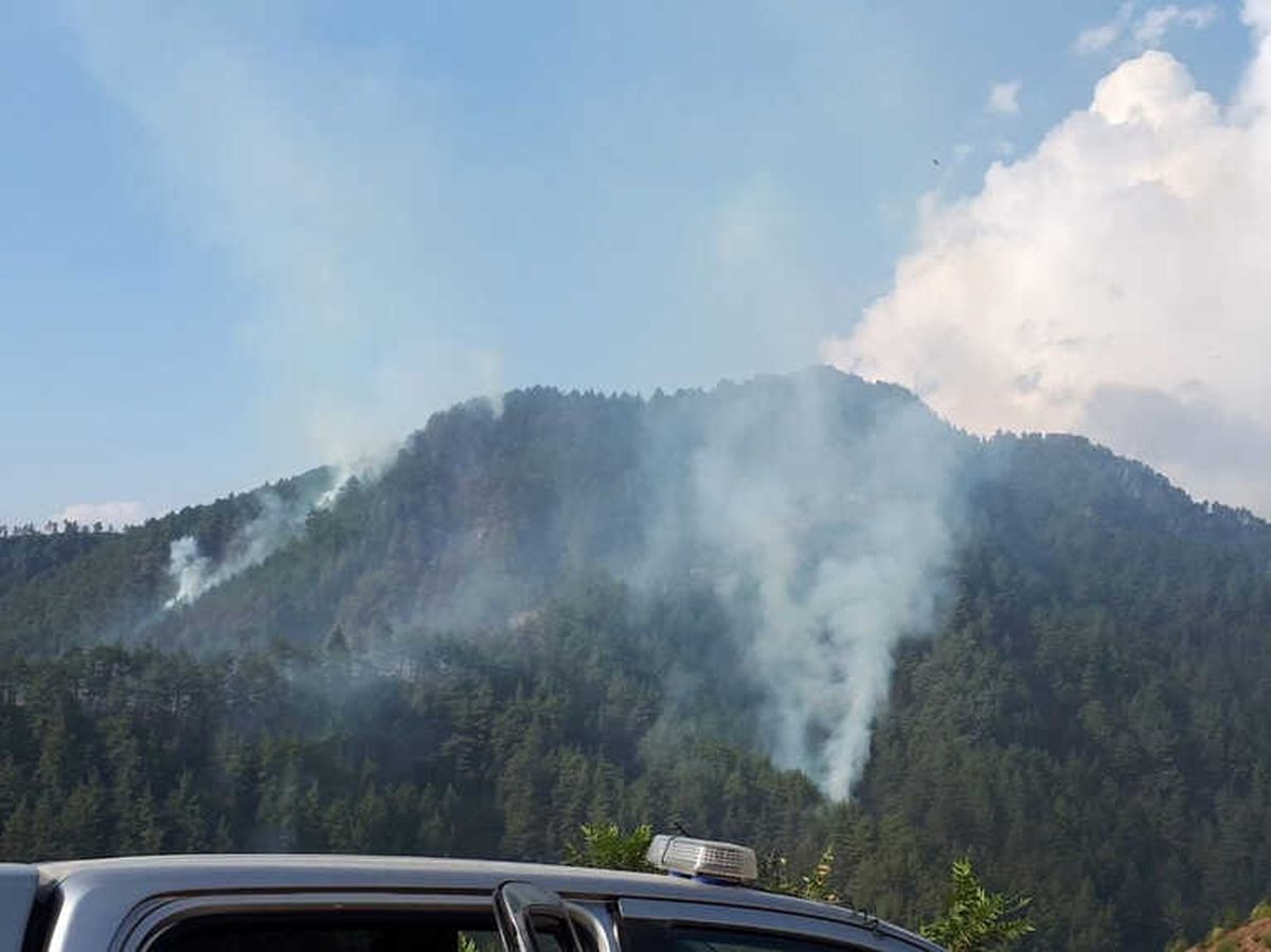 Kahramanmaraş\'ta Orman Yangını