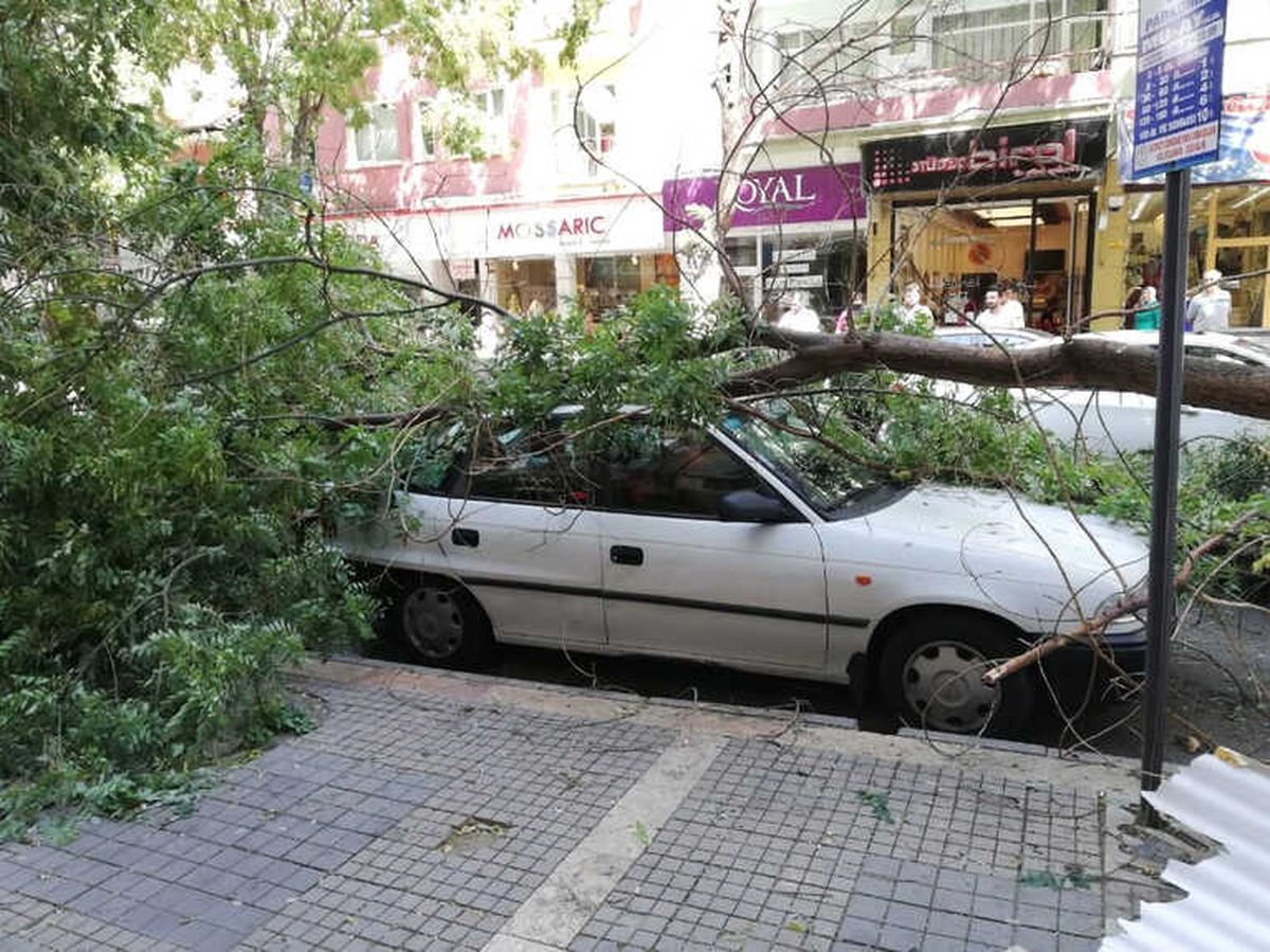 Malatya\'da Şiddetli Fırtına Ağaçları Devirdi