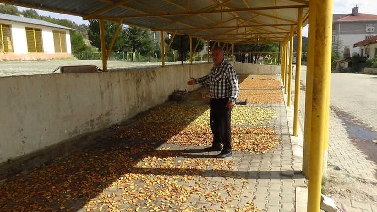 Organik Elma Kurusundan Vazgeçmiyorlar