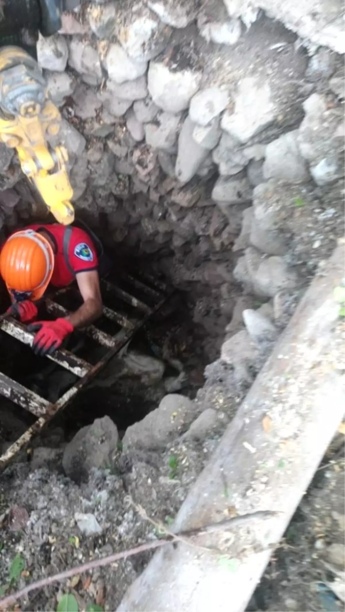 Su Kuyusuna Düşen İneği İtfaiye Ekipleri Kurtardı