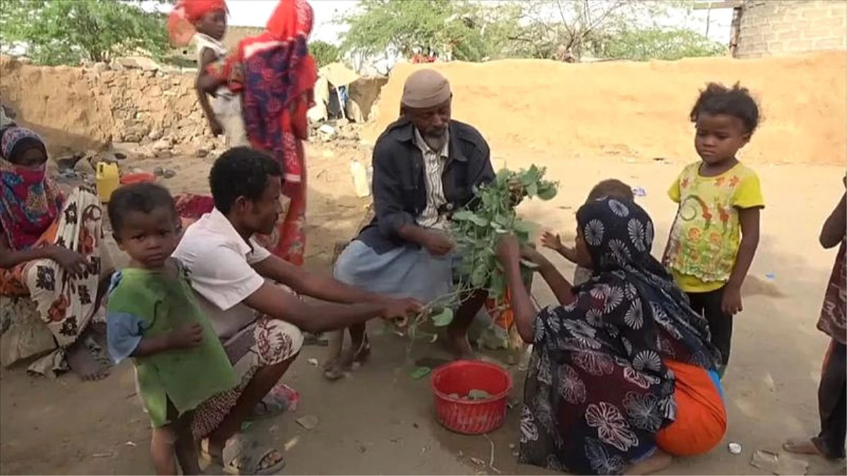 Video - Burası Yemen, Müslümanlar Yaprak Yiyerek Hayatta Kalmaya Çalışıyor