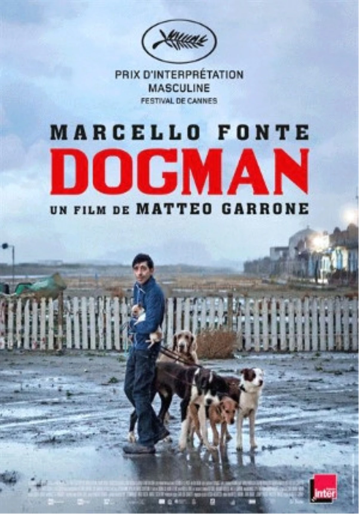 Dogman Filmi