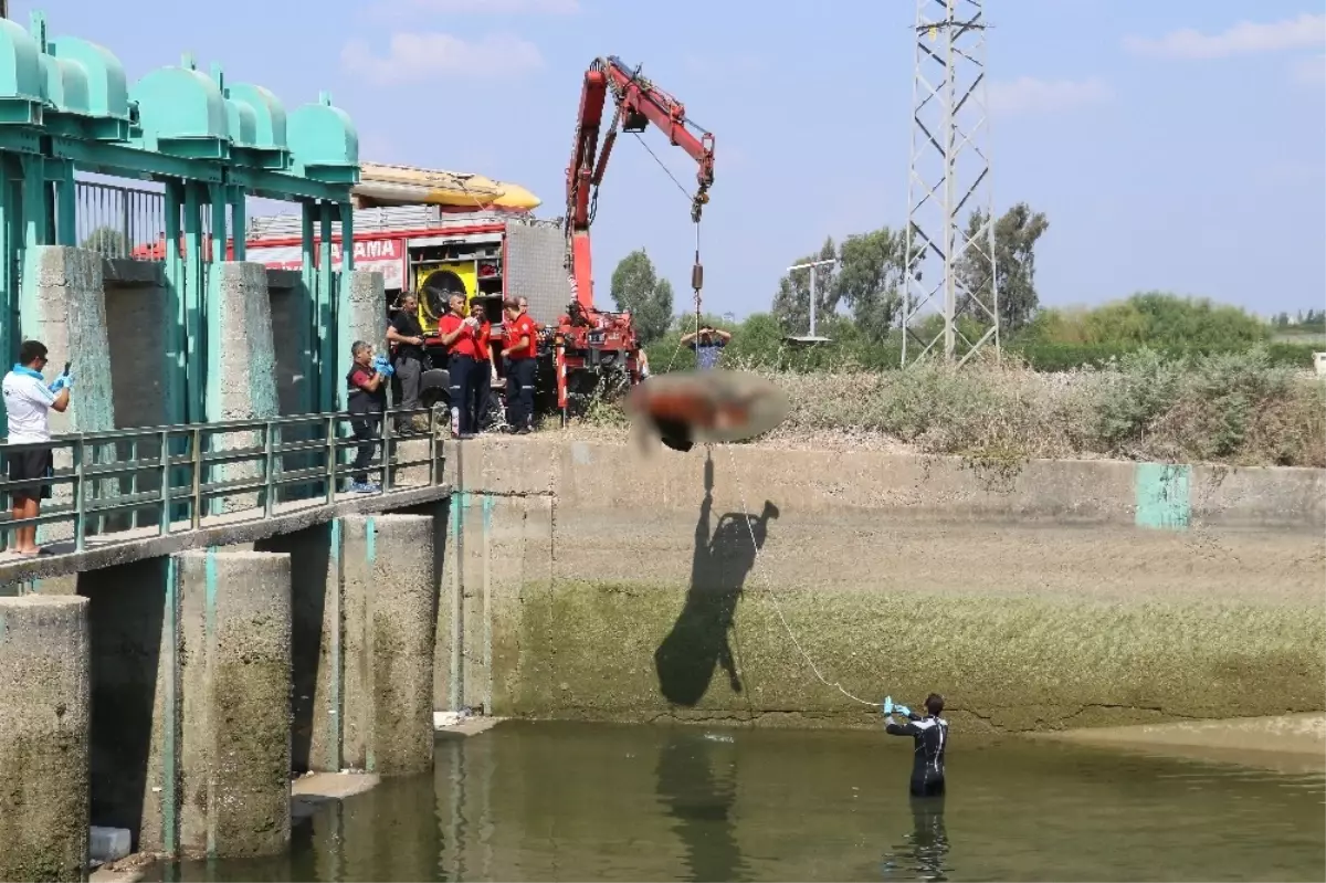 Sulama Kanalındaki Ceset Vinçle Çıkarıldı