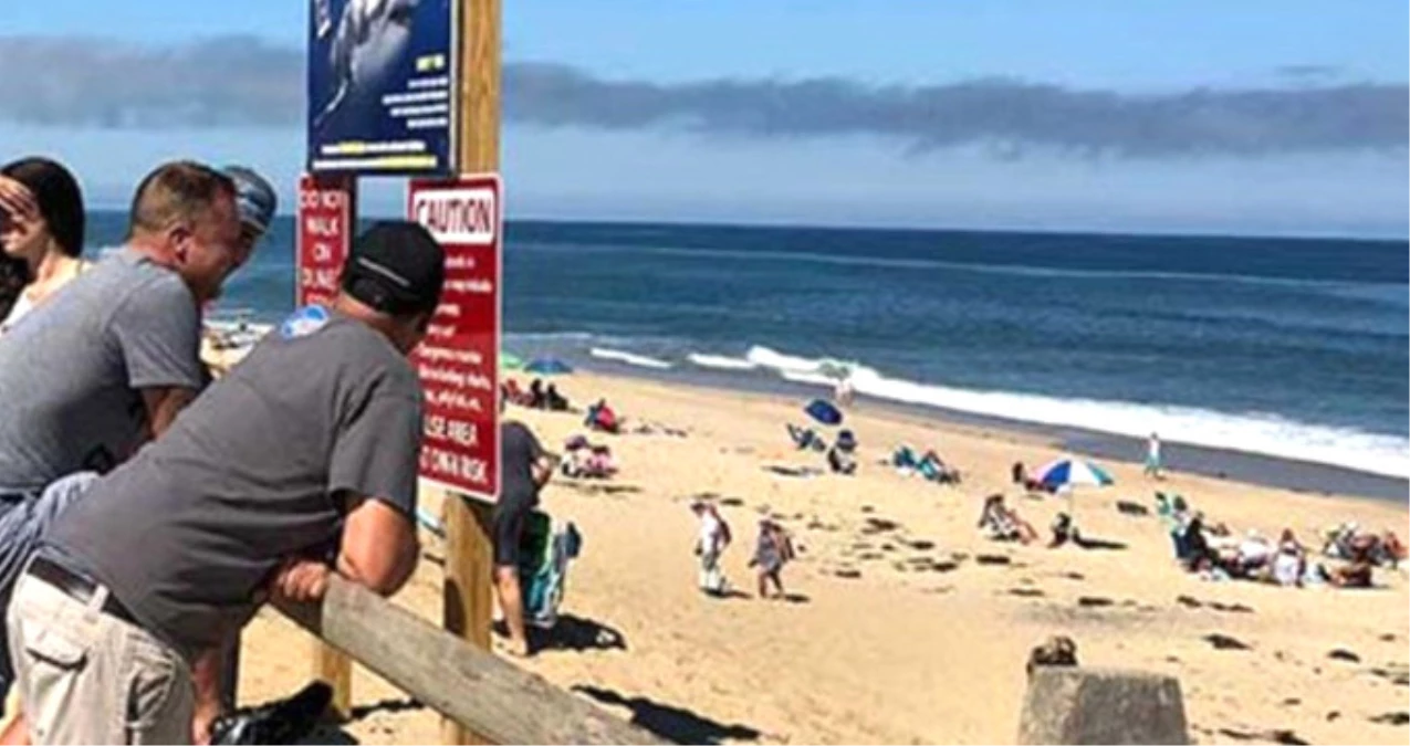 ABD\'de Sörf Yapan Genç, Köpek Balığı Saldırısı Sonucu Yaşamını Yitirdi