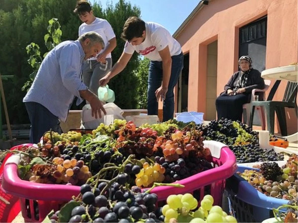 Başkan Çelik Ailesiyle Birlikte Pekmez Kaynattı