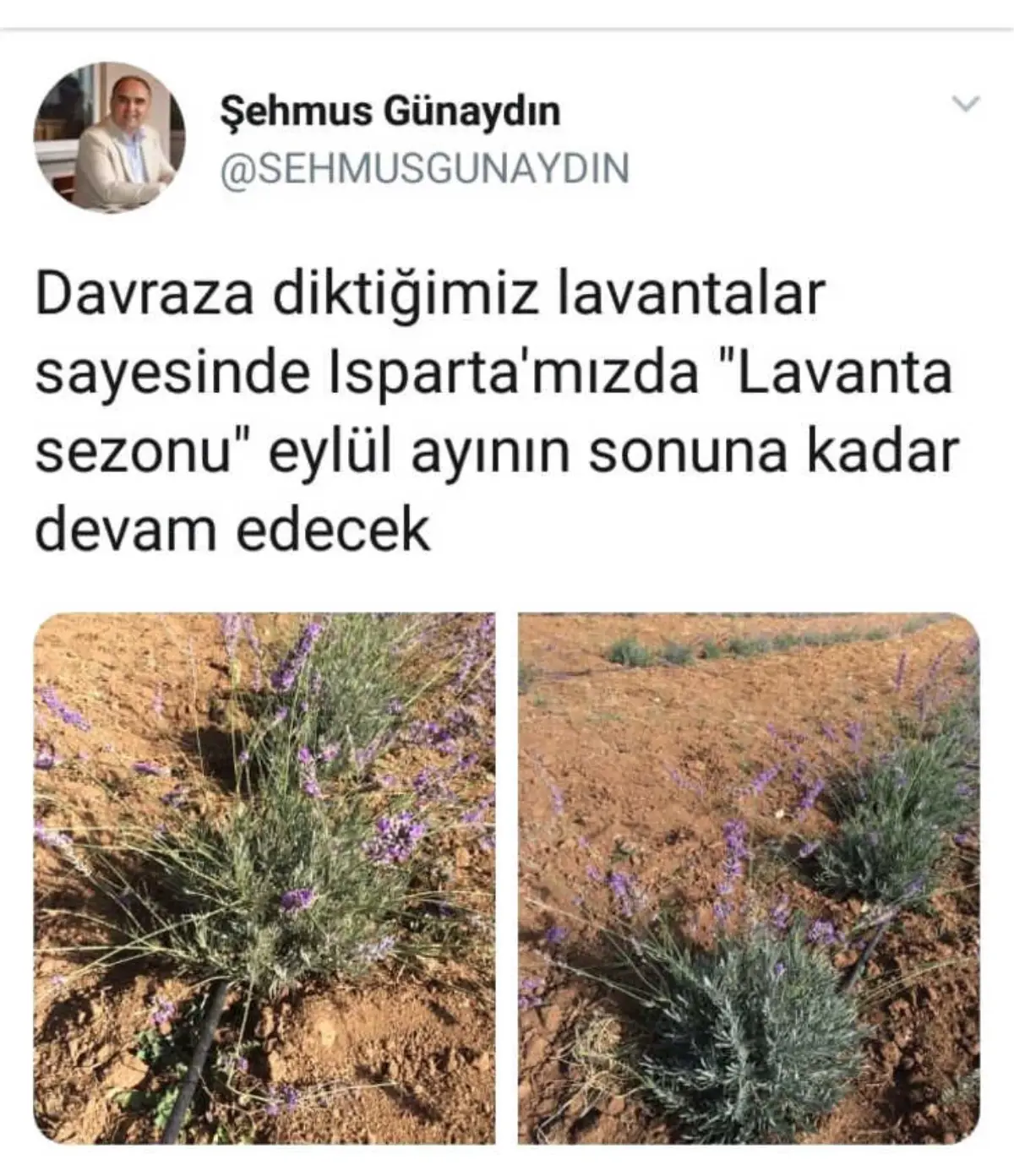 Isparta Valisi Şehmus Günaydın Açıklaması