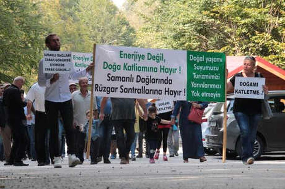 Res\'lere Karşı El Ele Tutuşarak, Ağaçları Korudular