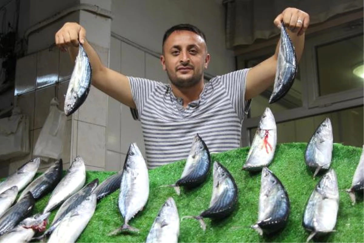 Zonguldak\'ta Balık Tezgahta El Yakıyor