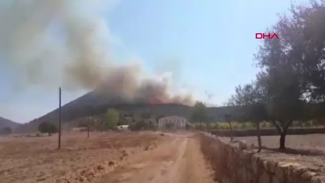 Antalya Kaş'ta Makilik ve Zeytinlikte Yangın Hd - Son Dakika