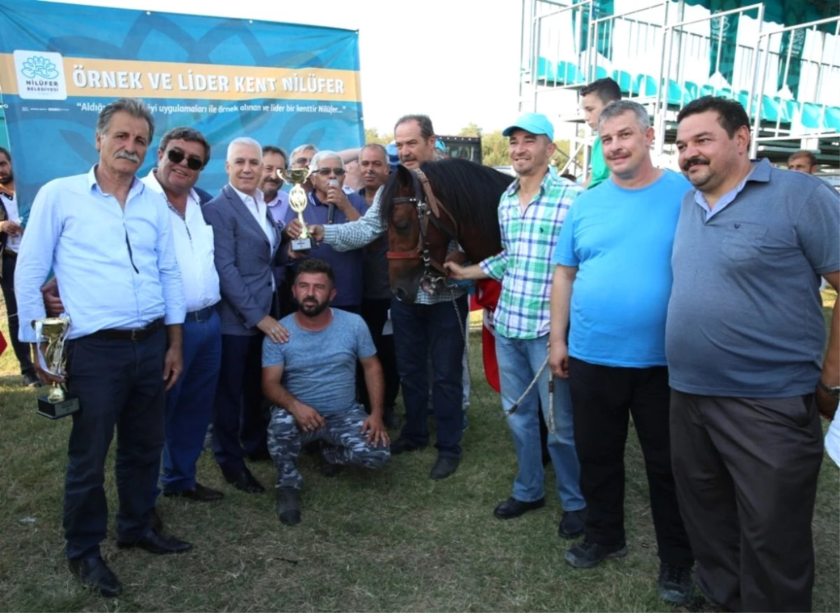 Bursa\'da Rahvan At Yarışları Heyecanı