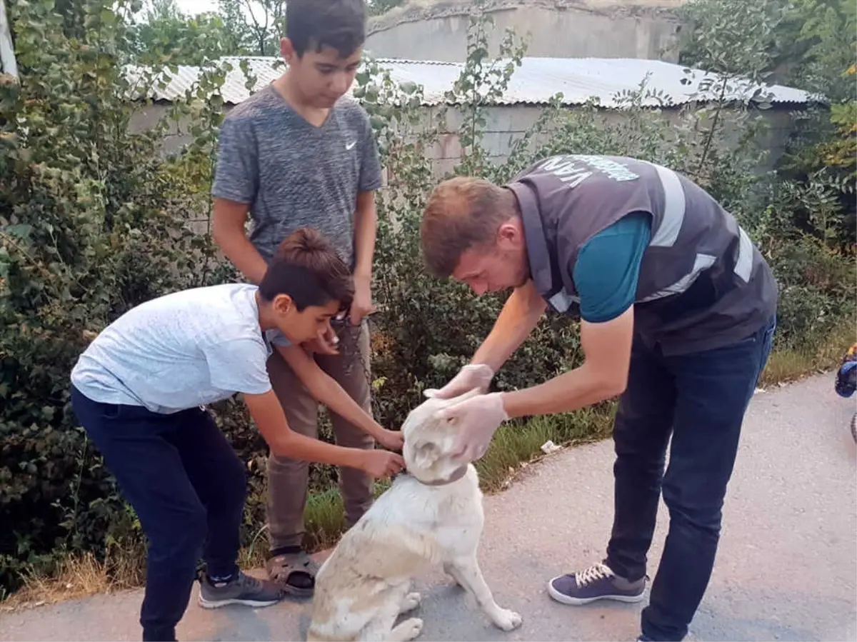 Çocuklar Haber Verdi, Büyükşehir Sahip Çıktı