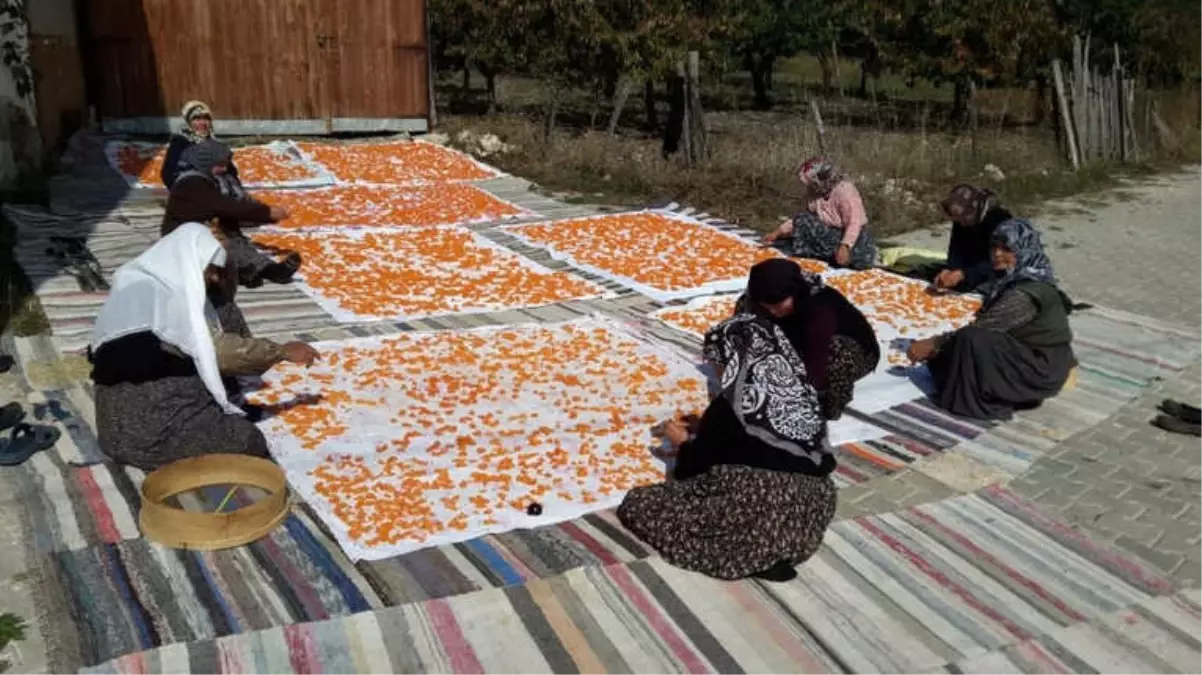 Dağ İlçelerinde Tarhana Hazırlıkları Başladı