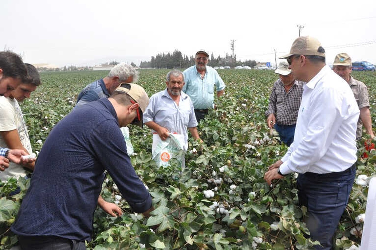 May Tohum, Yeni Pamuk Çeşitlerini "Bereket Şenliği"Nde Çiftçilere Tanıttı