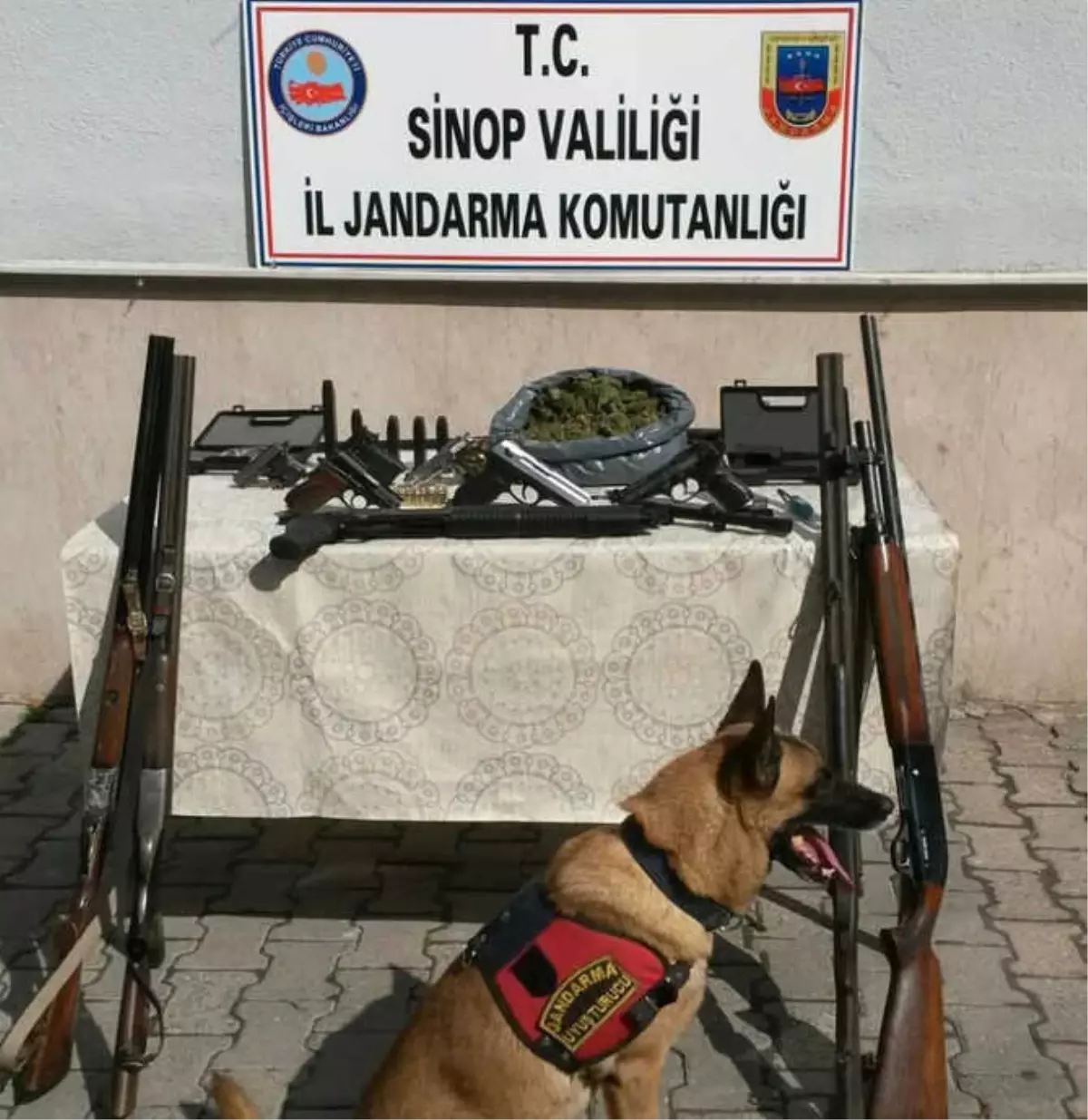 Sinop\'ta Uyuşturucu ve Silah Kaçakçılığı Operasyonu