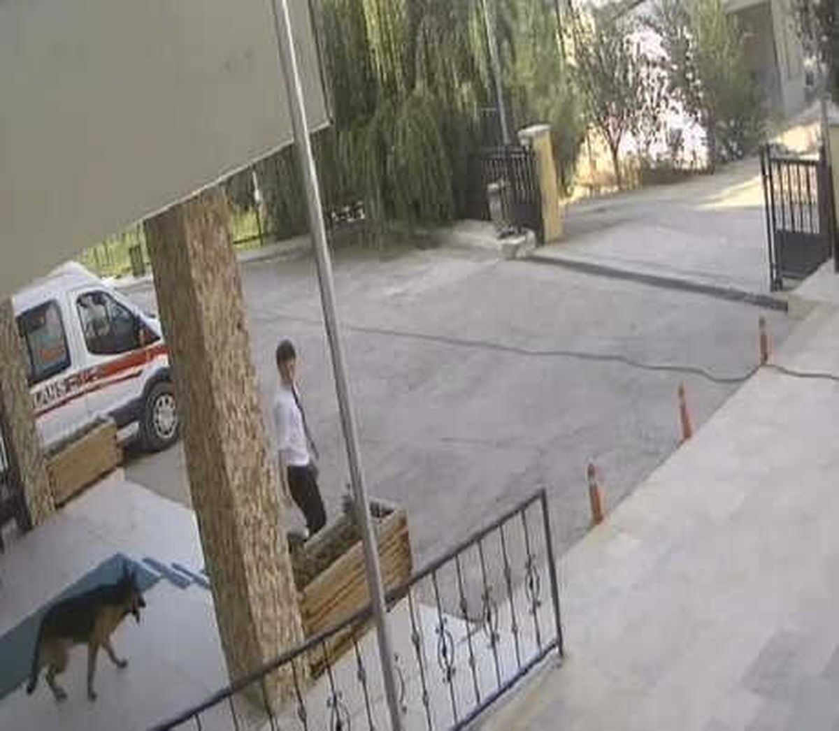 112 Acil Ekiplerinin Kurtardığı Köpek, Sahibine Kavuştu