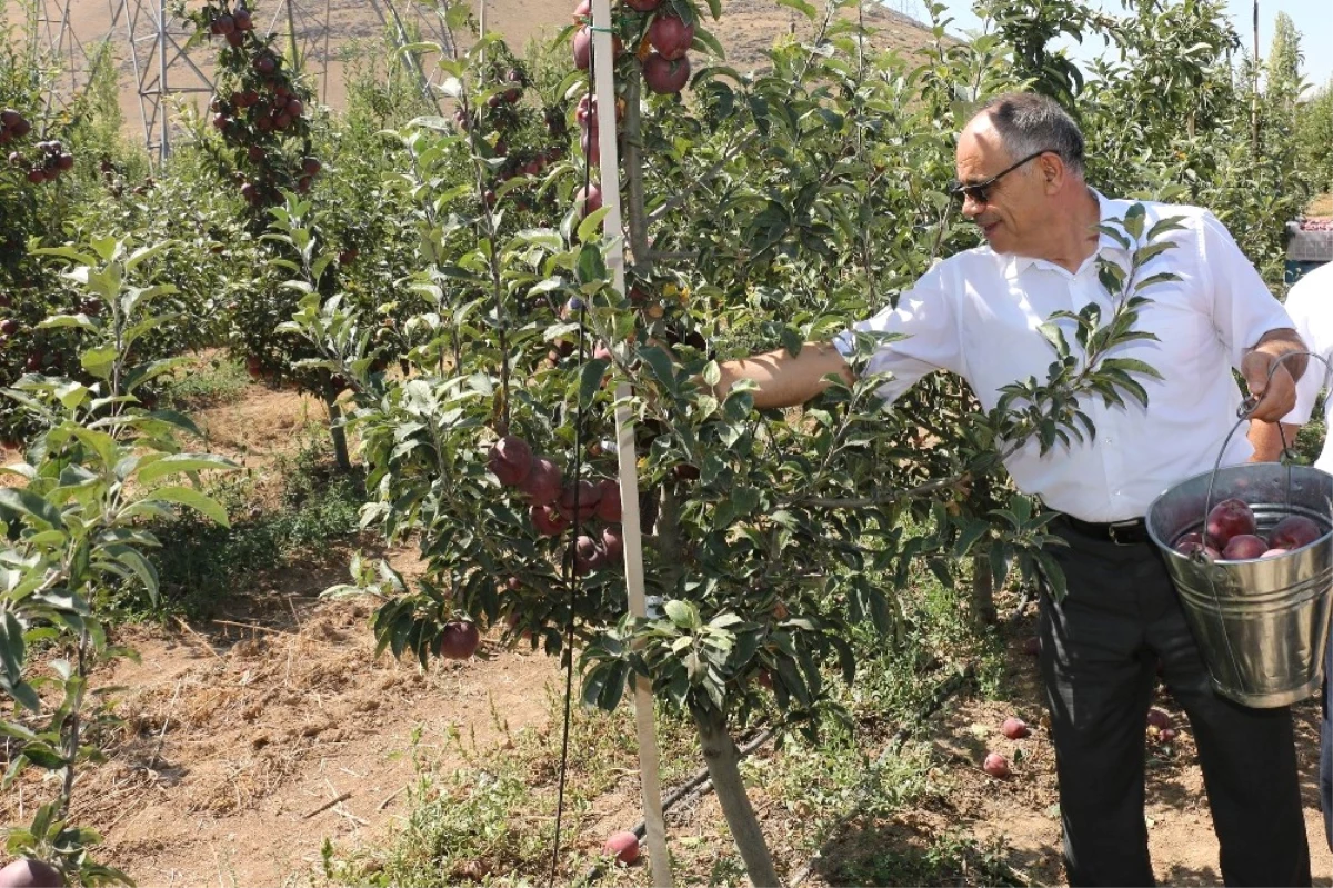 Başkan Öztürk: "Yahyalı\'da Elma Üretimi Modernleşmeli"