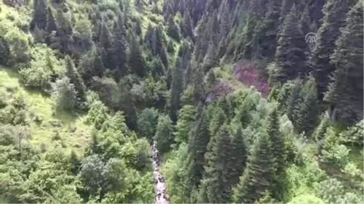 Bolu Yayla Turizminde de Söz Sahibi Olmak İstiyor