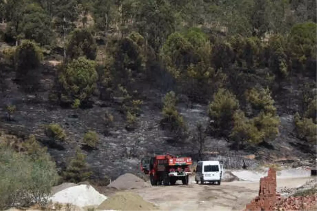 İzmir\'deki Orman Yangınında 15 Dekarlık Alan Zarar Gördü