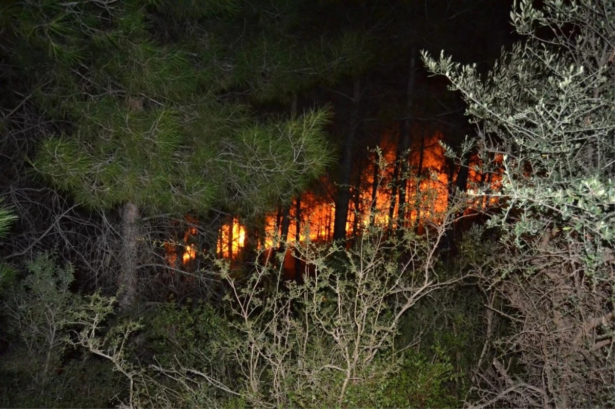 Kozan\'da Orman Yangını