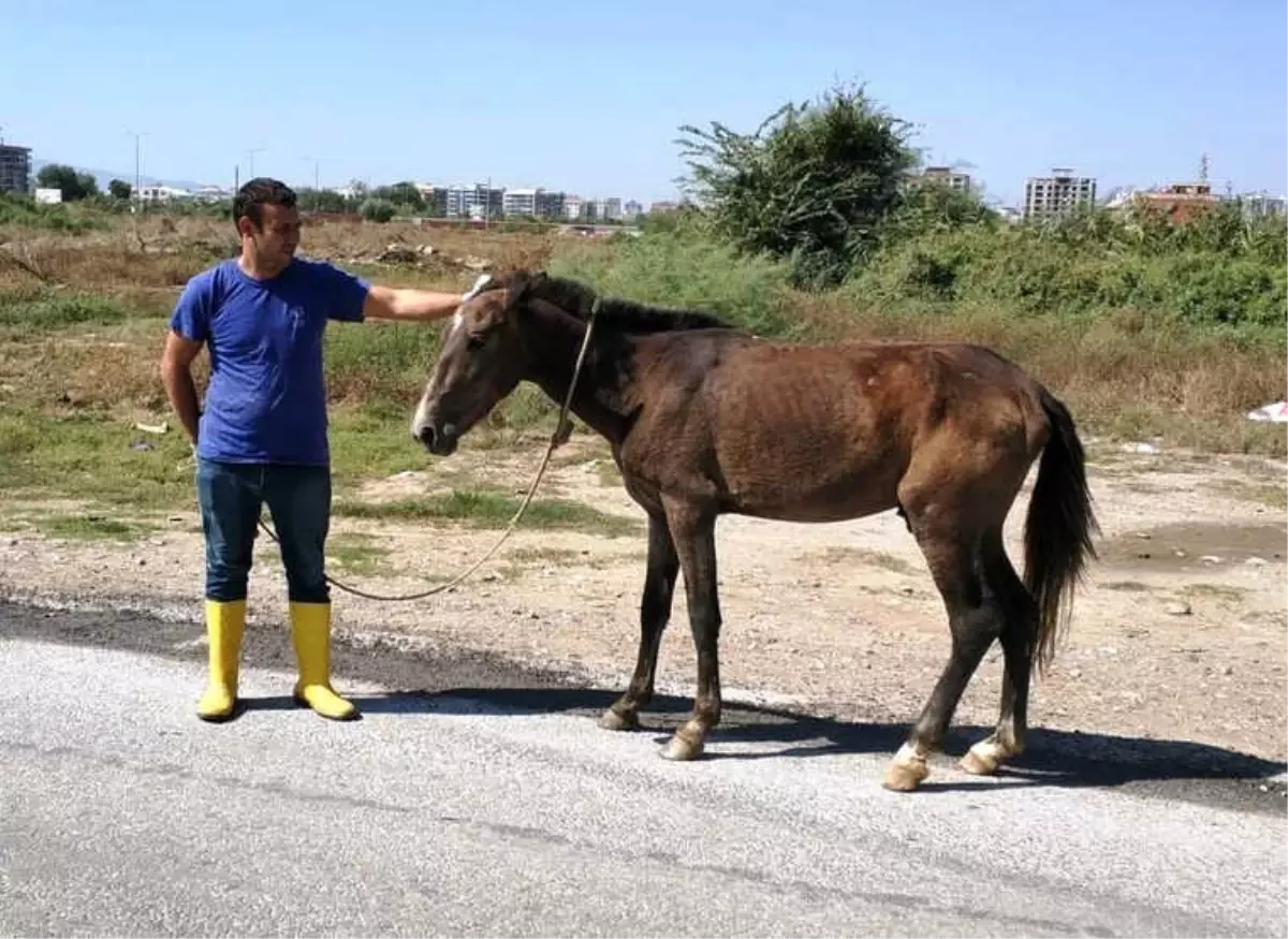 Yaralı Ata Aydın Büyükşehir Sahip Çıktı