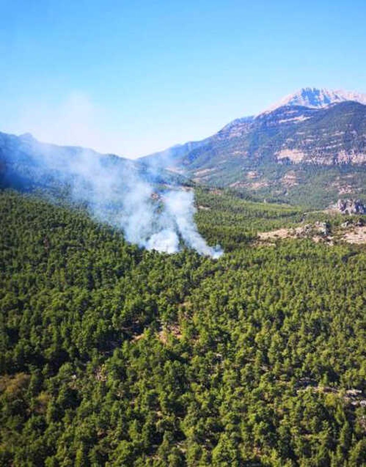 Antalya\'da Orman Yangını