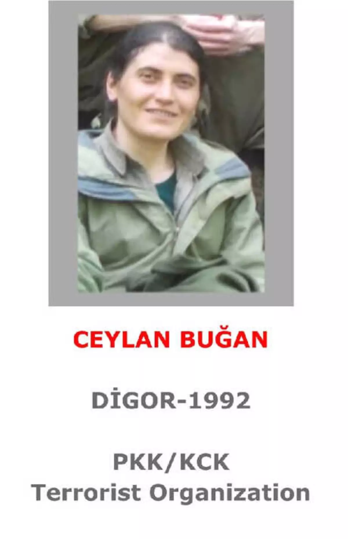 Bingöl\'de Öldürülen PKK\'lı Kadın Terörist, Gri Listede Çıktı