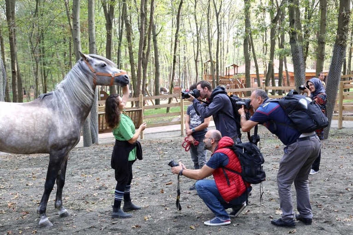 Fotoğraf Tutkunları Kocaeli\'de Buluştu