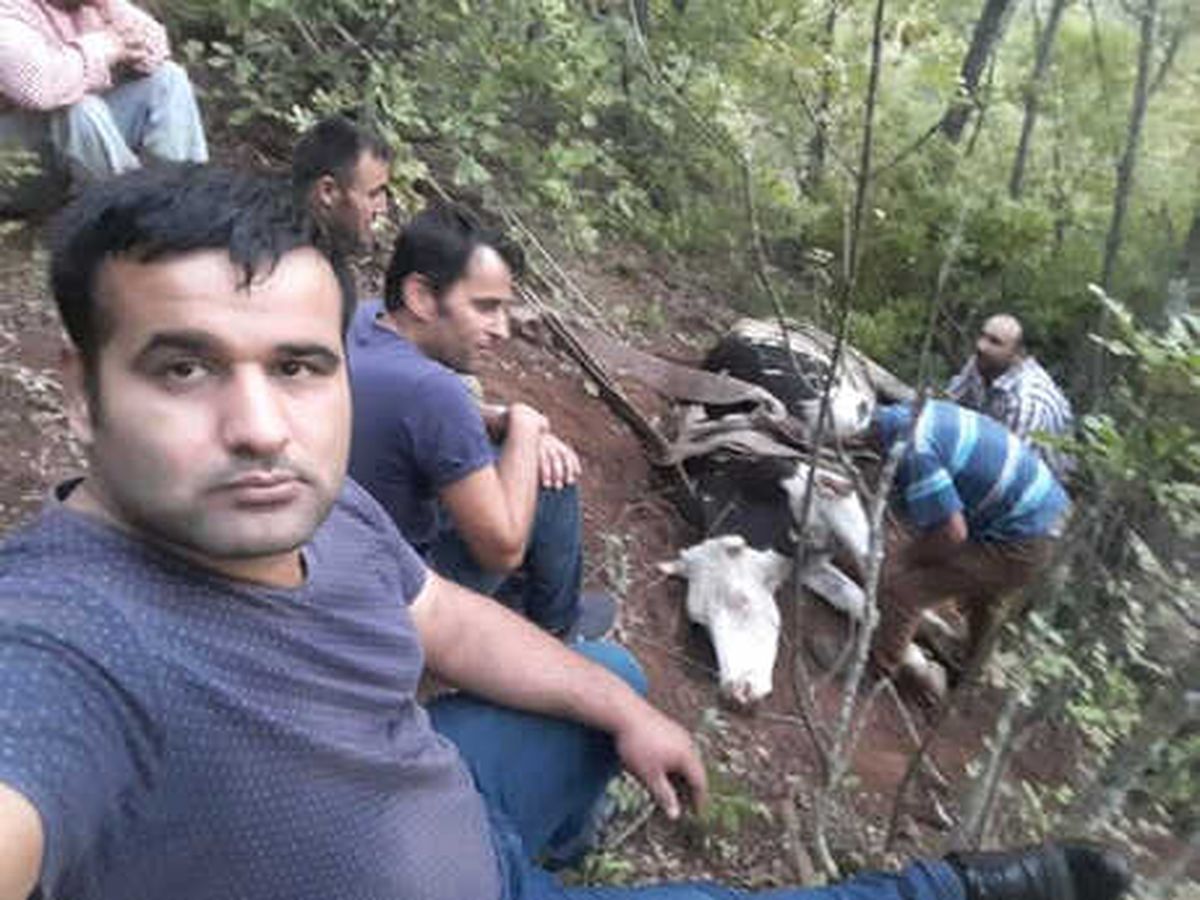 Bursa\'da İnek Kurtarma Operasyonu