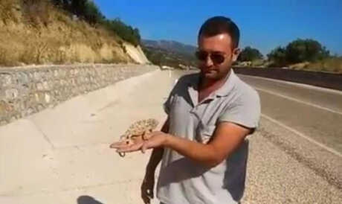 Ezilmekten Kurtardıkları Bukalemunu Doğaya Bıraktılar
