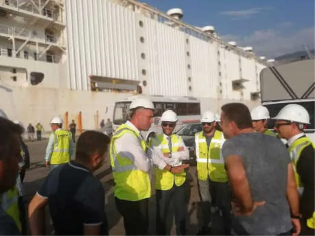 İskenderun\'a Getirilen Anguslar, Çiftliklere Gönderilecek