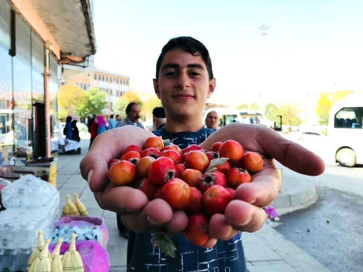 Kışın Habercisi Alıç Tezgahta
