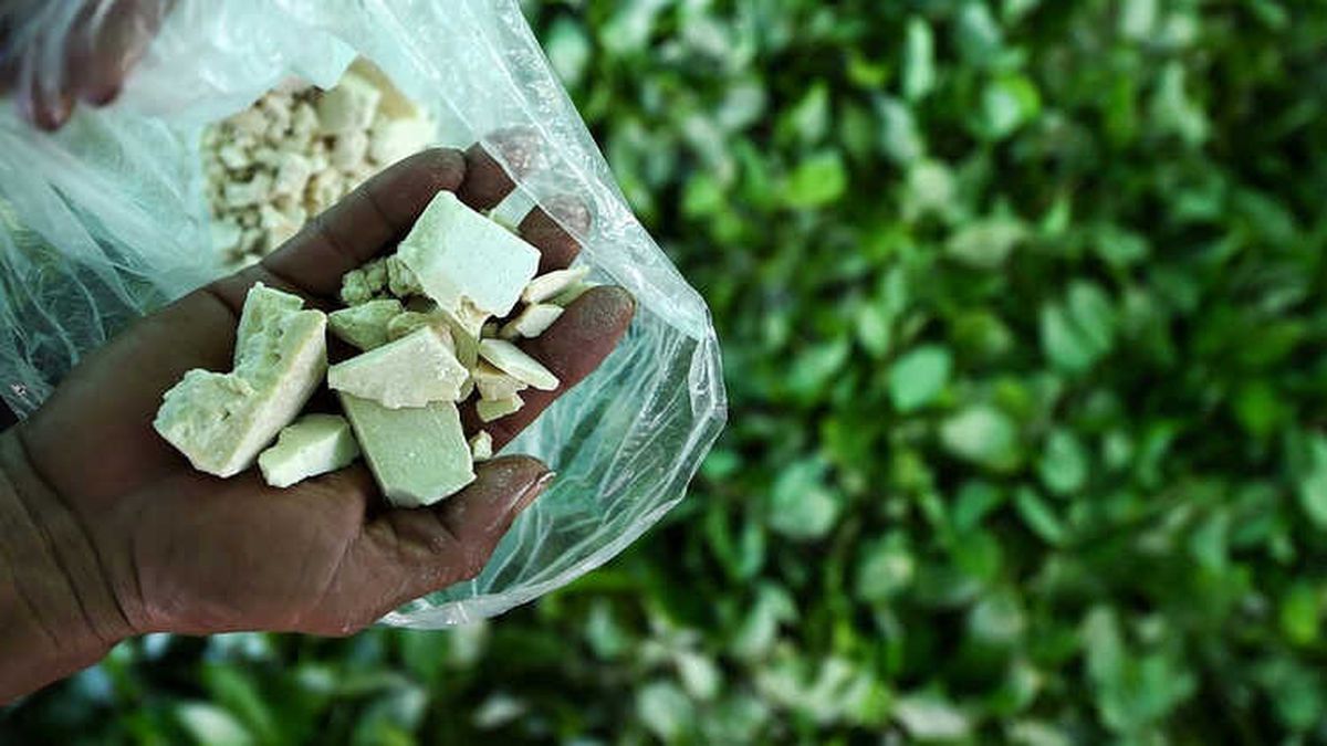 Kolombiya\'da Kokain Üretimi 2017\'de Rekor Kırdı