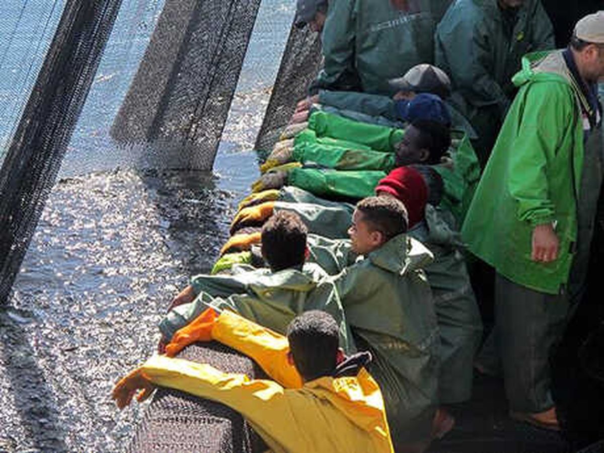 Moritanya\'da Bin Balıkçı 52 Türk Teknesi ile Avlanıyor