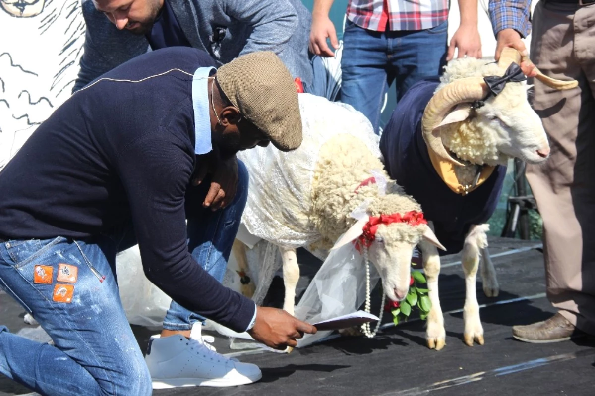 Sosyal Medya Fenomeni Koç Alex, Dünya Evine Girdi