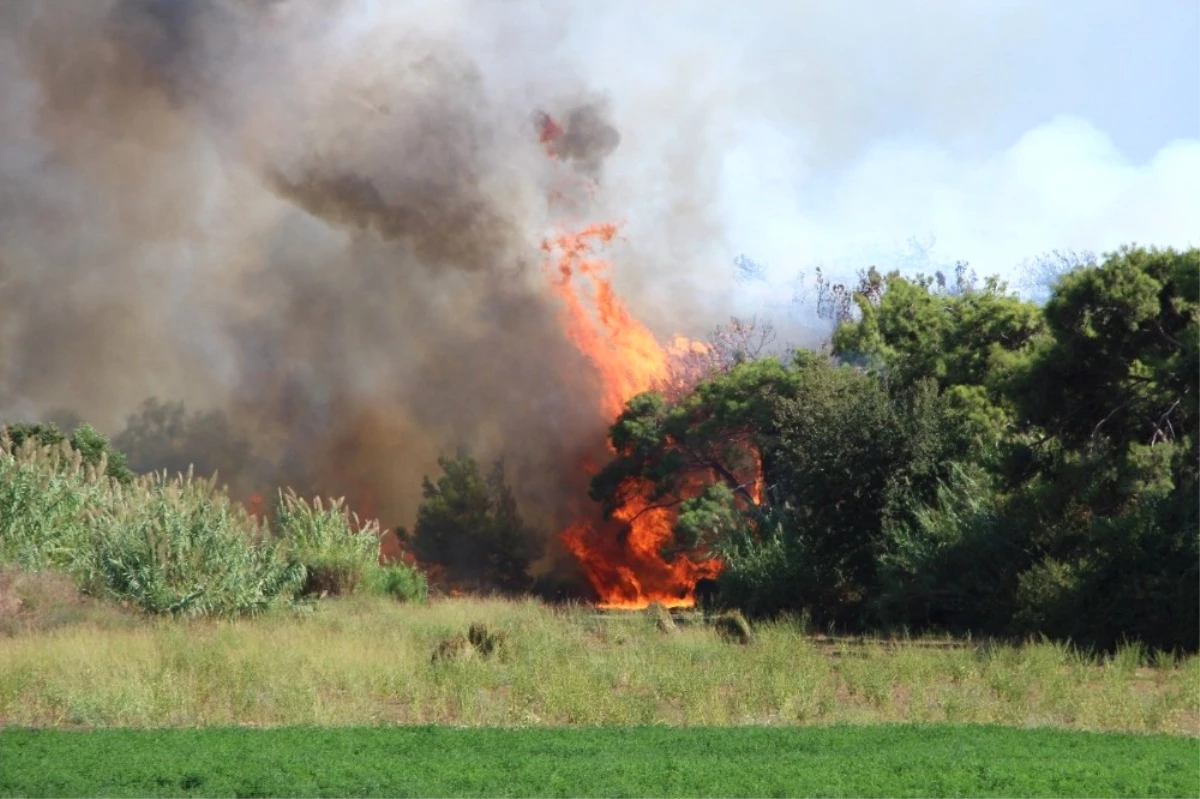 Antalya\'daki Orman Yangını Ucuz Atlatıldı