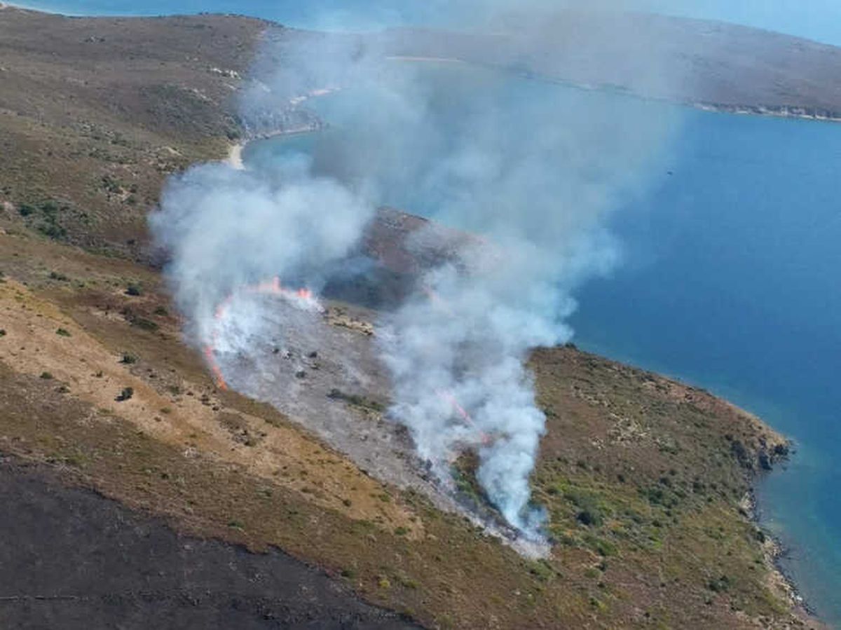 Ayvalık\'ta Korkutan Yangın