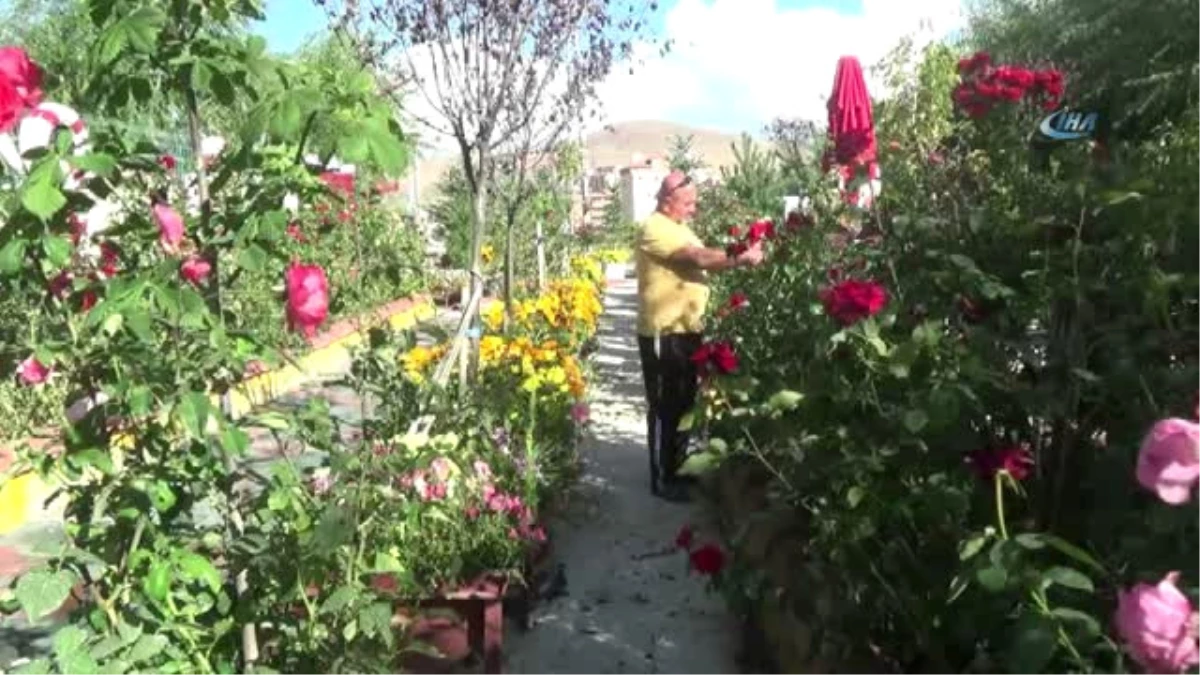 Bataklık Olan Alanı Atatürk Sevgisi Sayesinde Botanik Bahçesine Dönüştürdü