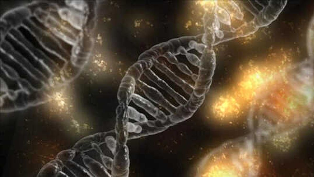 Crıspr ile Dna Yerine Rna Düzenlenebilecek