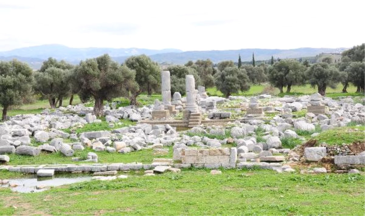 Dionysos Tapınağı, Ayağa Kaldırılacak