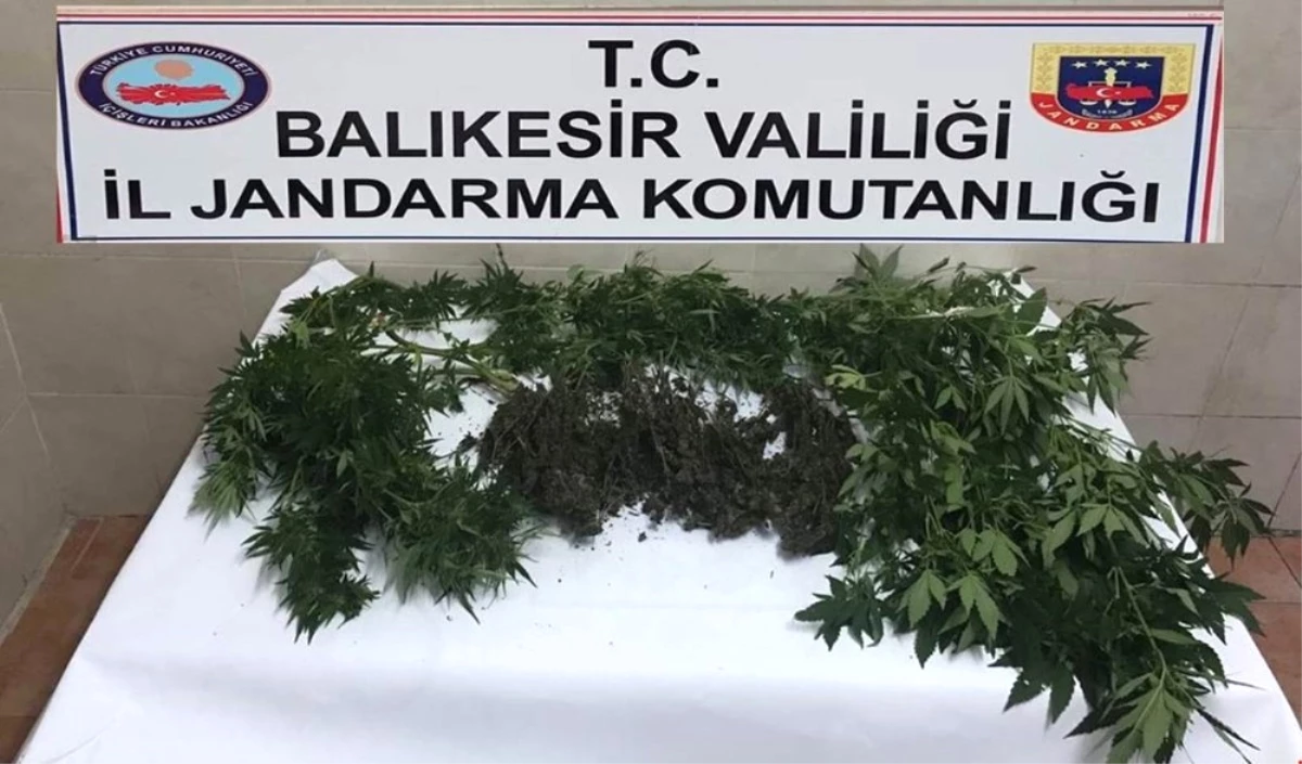 Jandarma Uyuşturucu Tacirlerine Göz Açtırmıyor