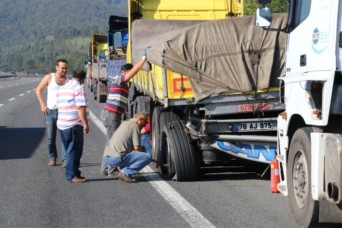 Kamyona Giren Arı Kaza Yaptırdı