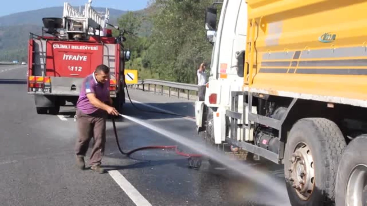 Kamyona Giren Arı Kaza Yaptırdı