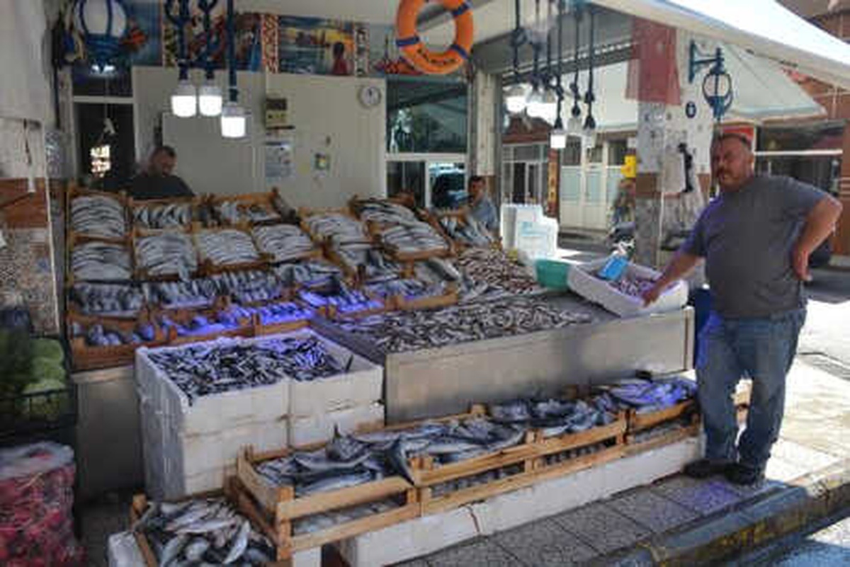 Karadeniz\'de Palamut Bolluğu; Fiyatı 5 Liraya Geriledi