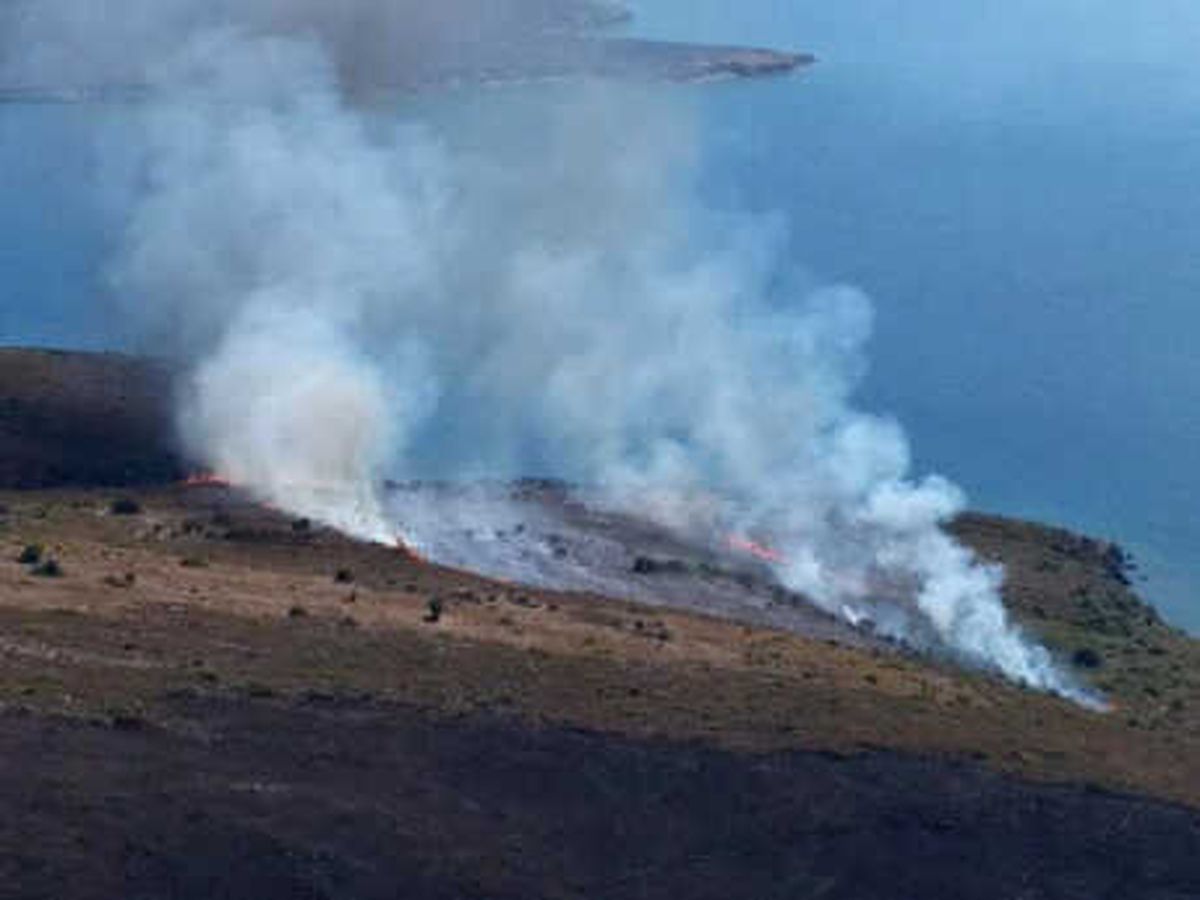 Maden Adası\'nda Makilikteki Yangın Söndürüldü