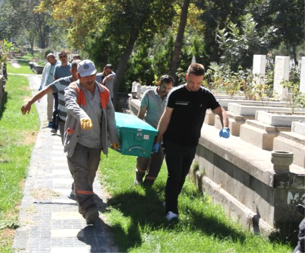 Mezarlıkta, Ağaca Asılı Cesedi Bulundu