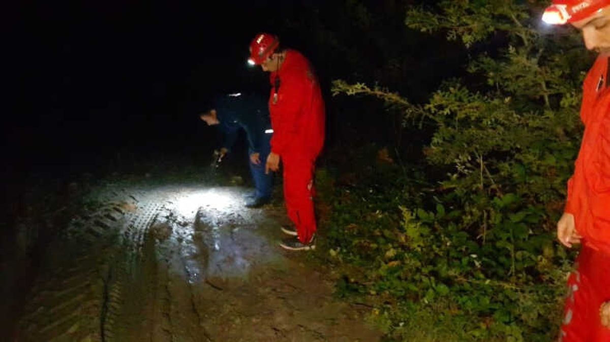 Ormanda Kaybolmuştu, Şehirde Görüldü