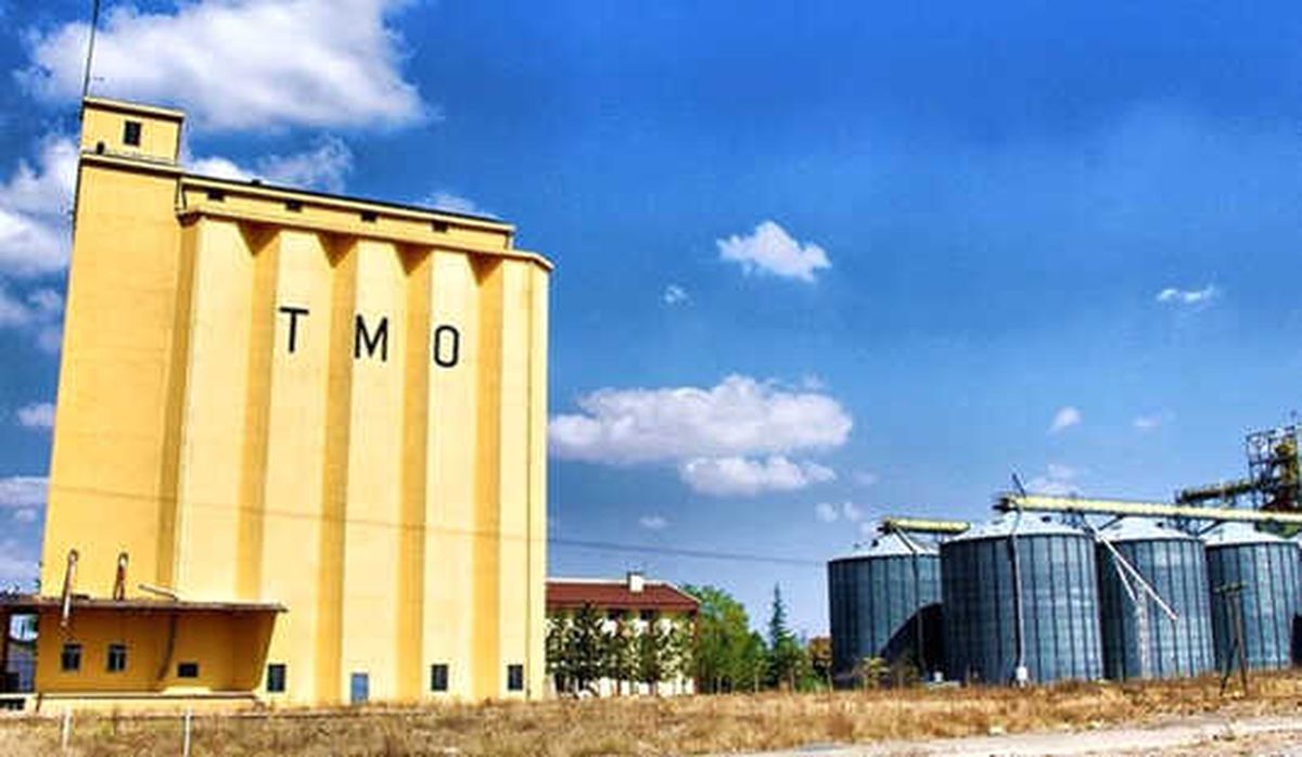 Tmo, Arpa Alımı İçin Uluslararası İhale Açtı